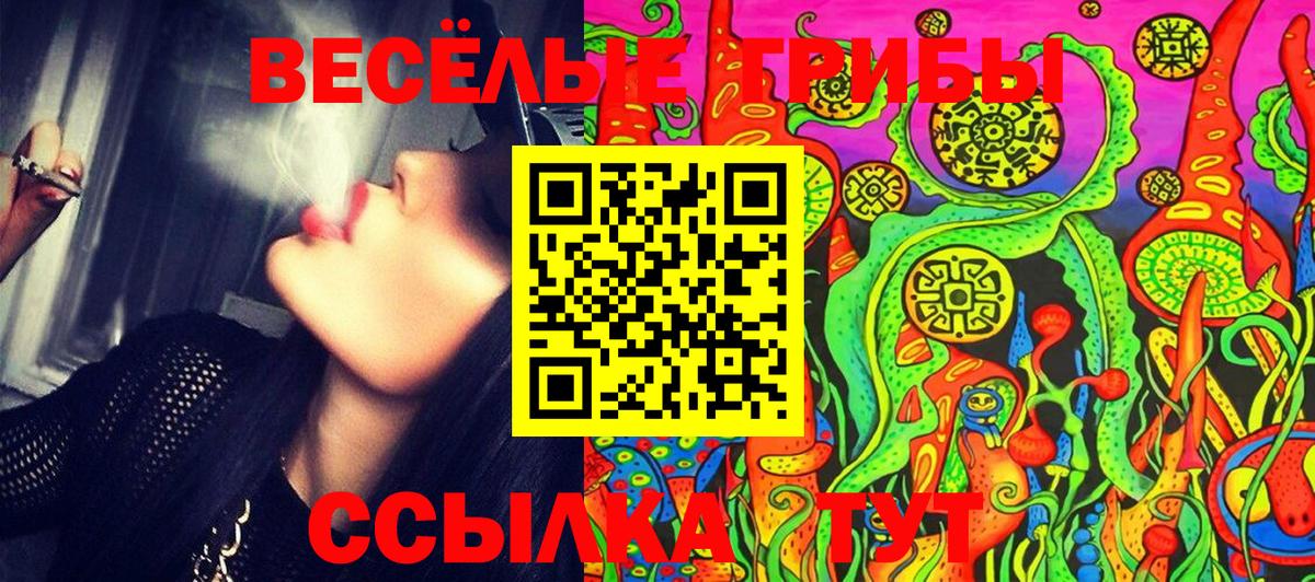 Сосновый Бор  где найти   Вход с VPN  Псилоцибиновые грибы GOLDEN TEACHER 